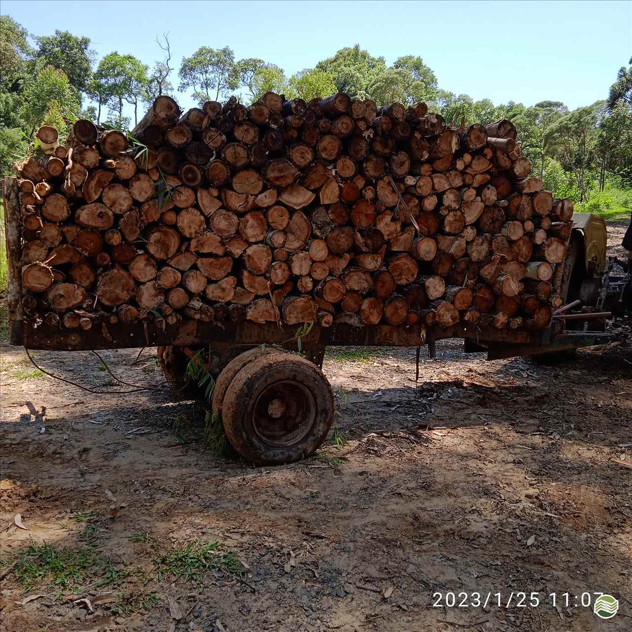 IMPLEMENTOS AGRICOLAS CARRETA AGRÍCOLA TRANSPORTE MADEIRA Mercadão da Terra Implementos Agrícolas RIO NEGRINHO SANTA CATARINA SC